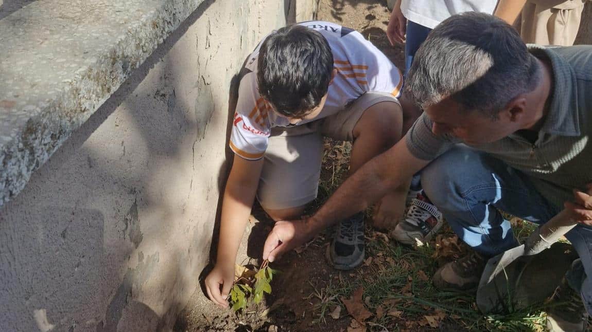  Yeşil Vatan Projesi Etkinliği
